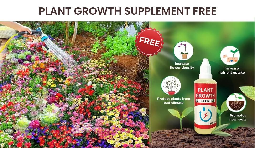 100 Italian Wild Premium Variety Flower Seeds + Free Plant Growth Supplement